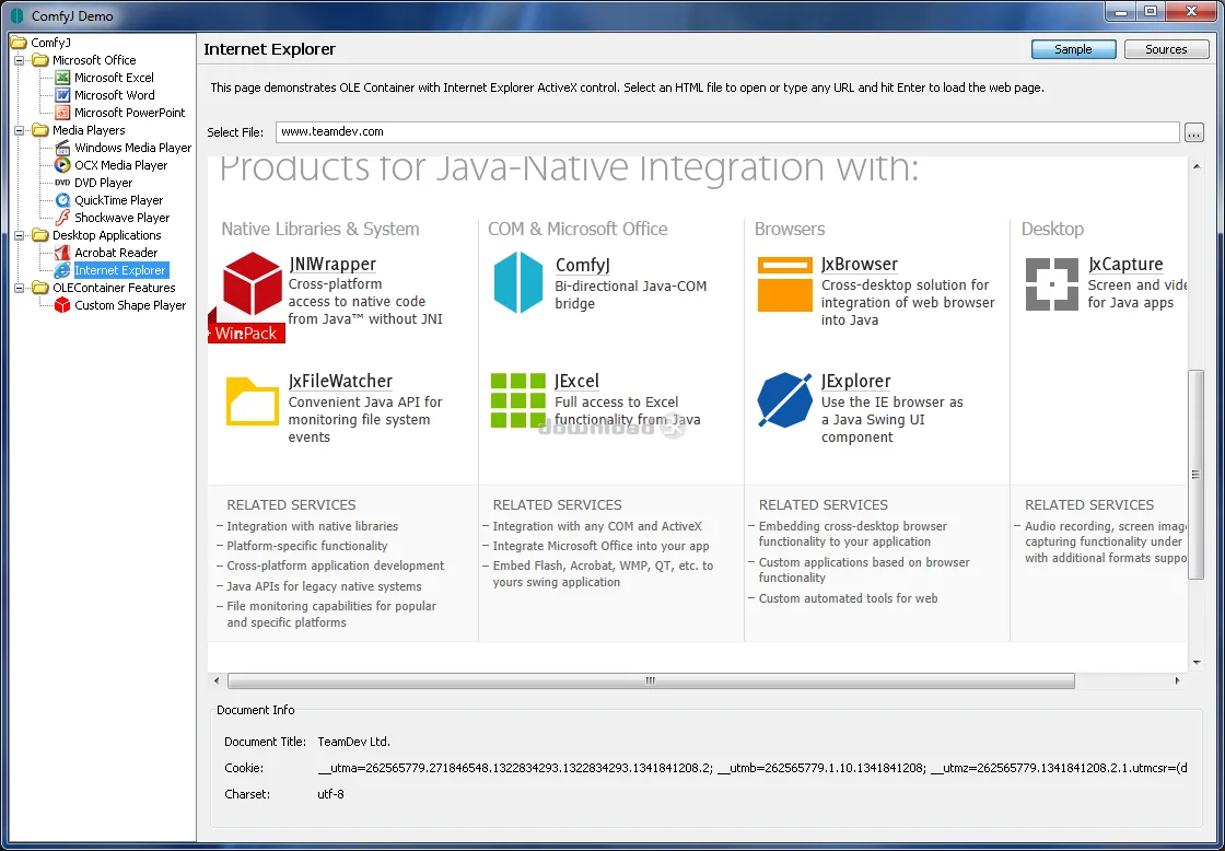 ComfyJ demo demonstrating how to embed and display Microsoft Excel, Word, or MS Internet Explorer in Java AWT/Swing desktop applications.