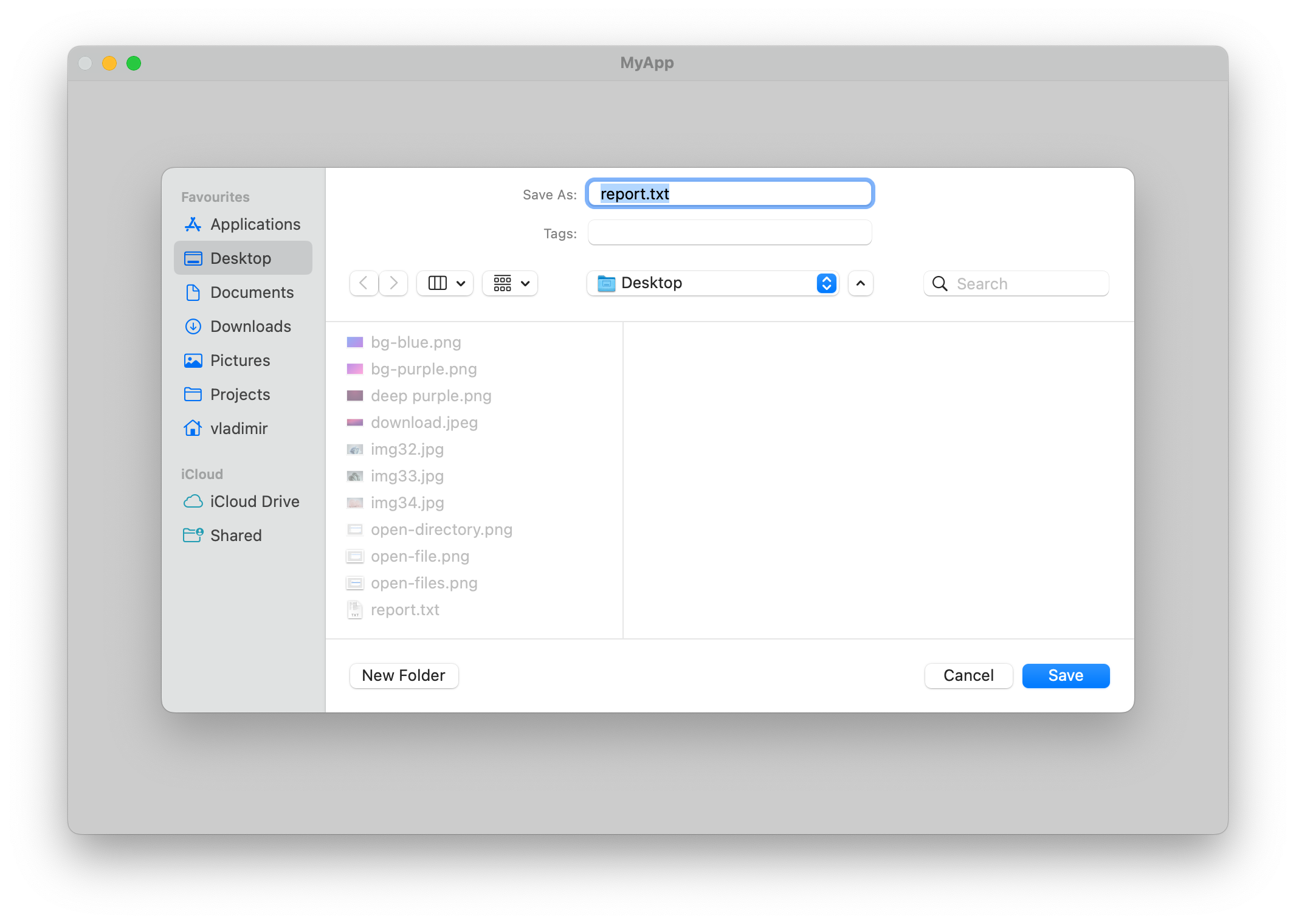 Save file dialog on macOS